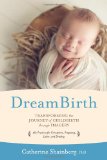 dreambirth